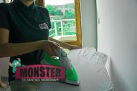 Monster Cleaning Horsham image 3